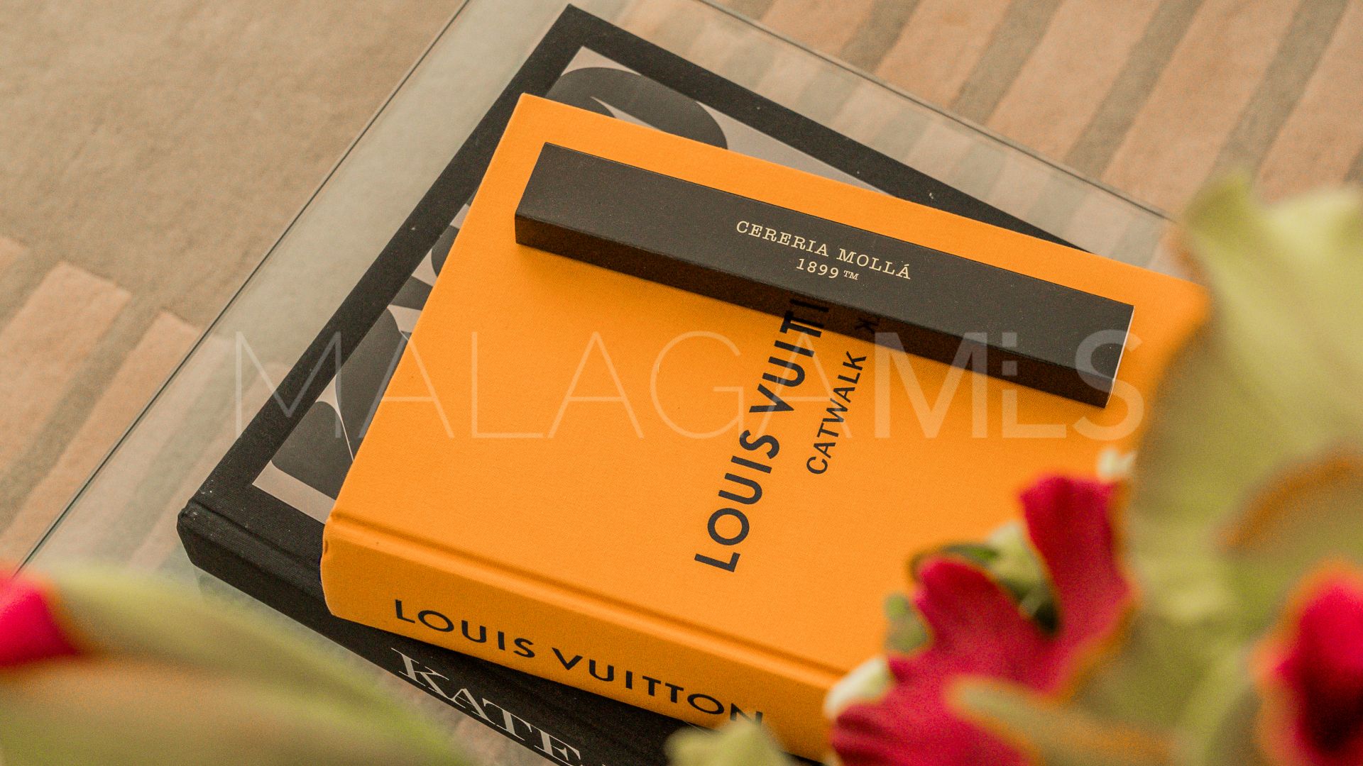 Buy villa in Nagüeles