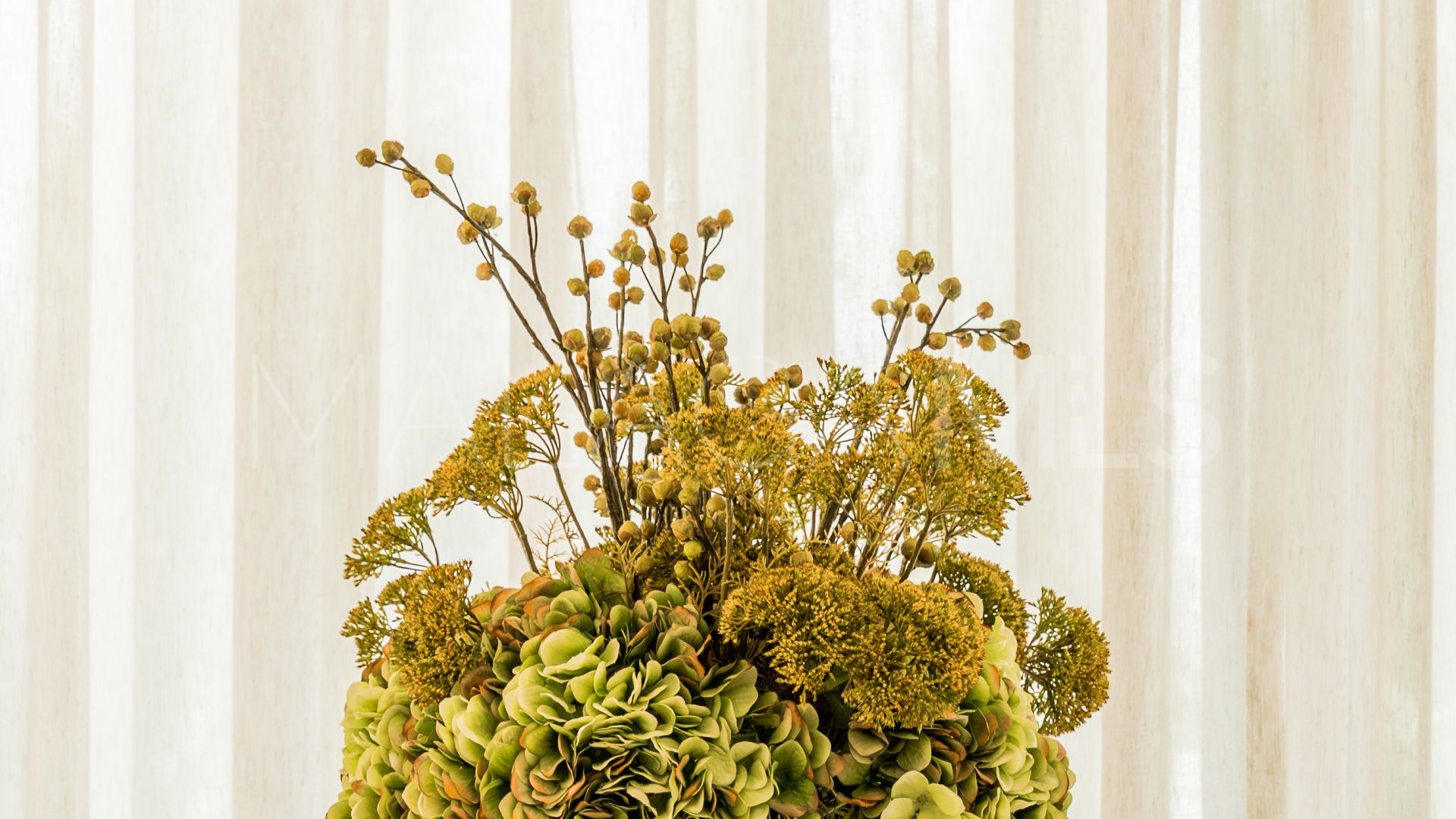 Buy villa in Nagüeles