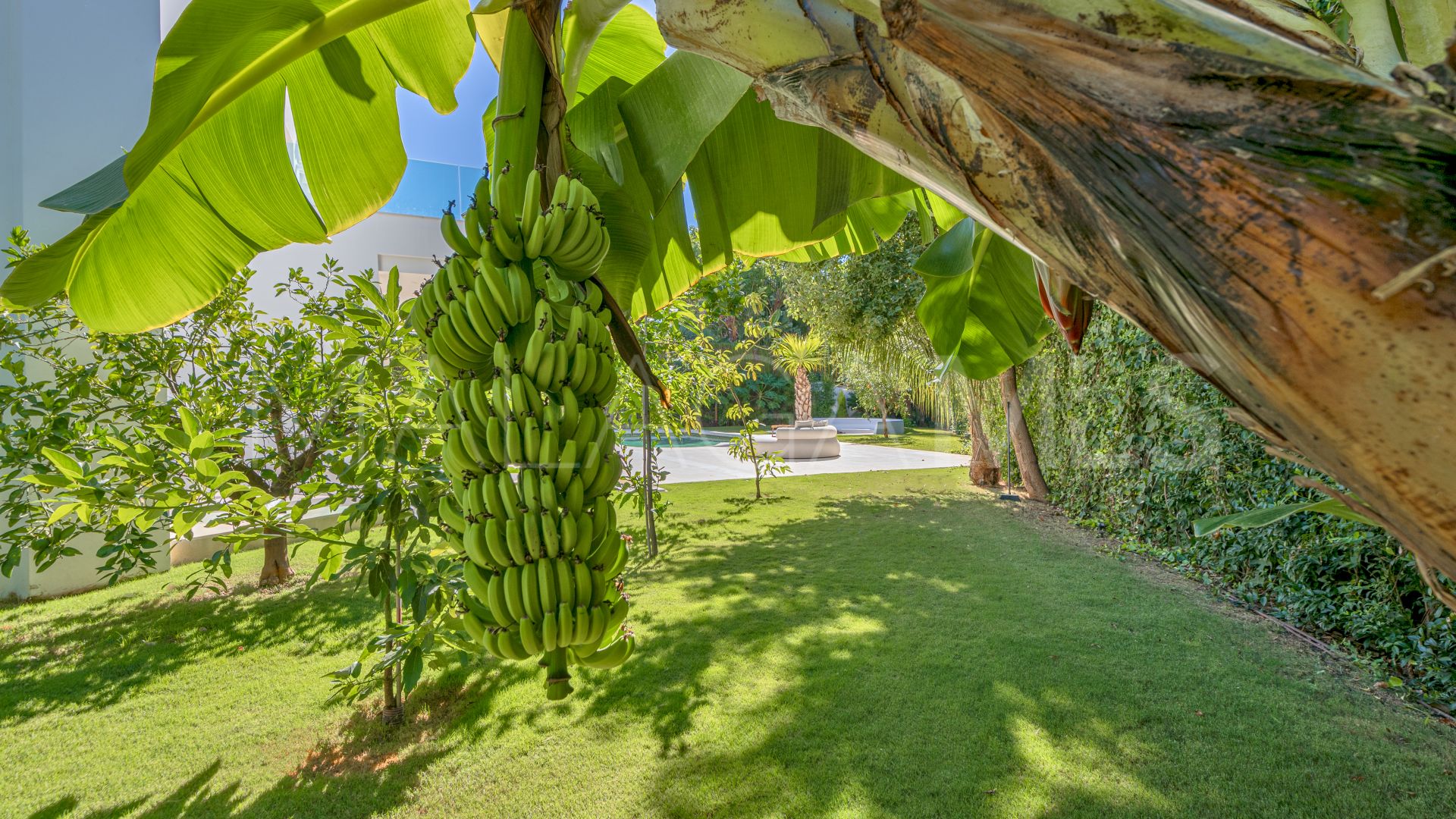 4 bedrooms Nueva Andalucia villa for sale