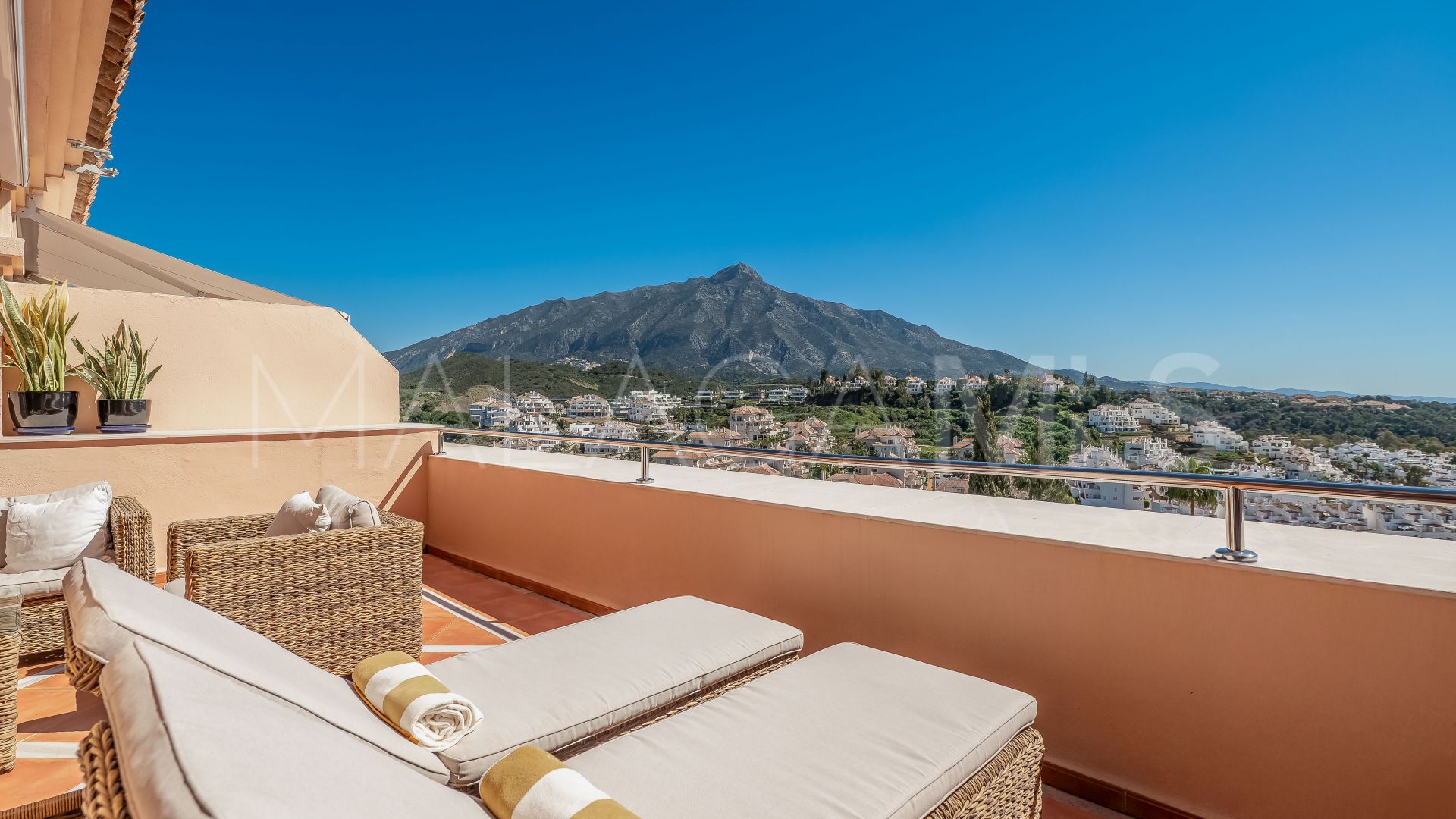 Appartement terrasse for sale in Albatross Hill