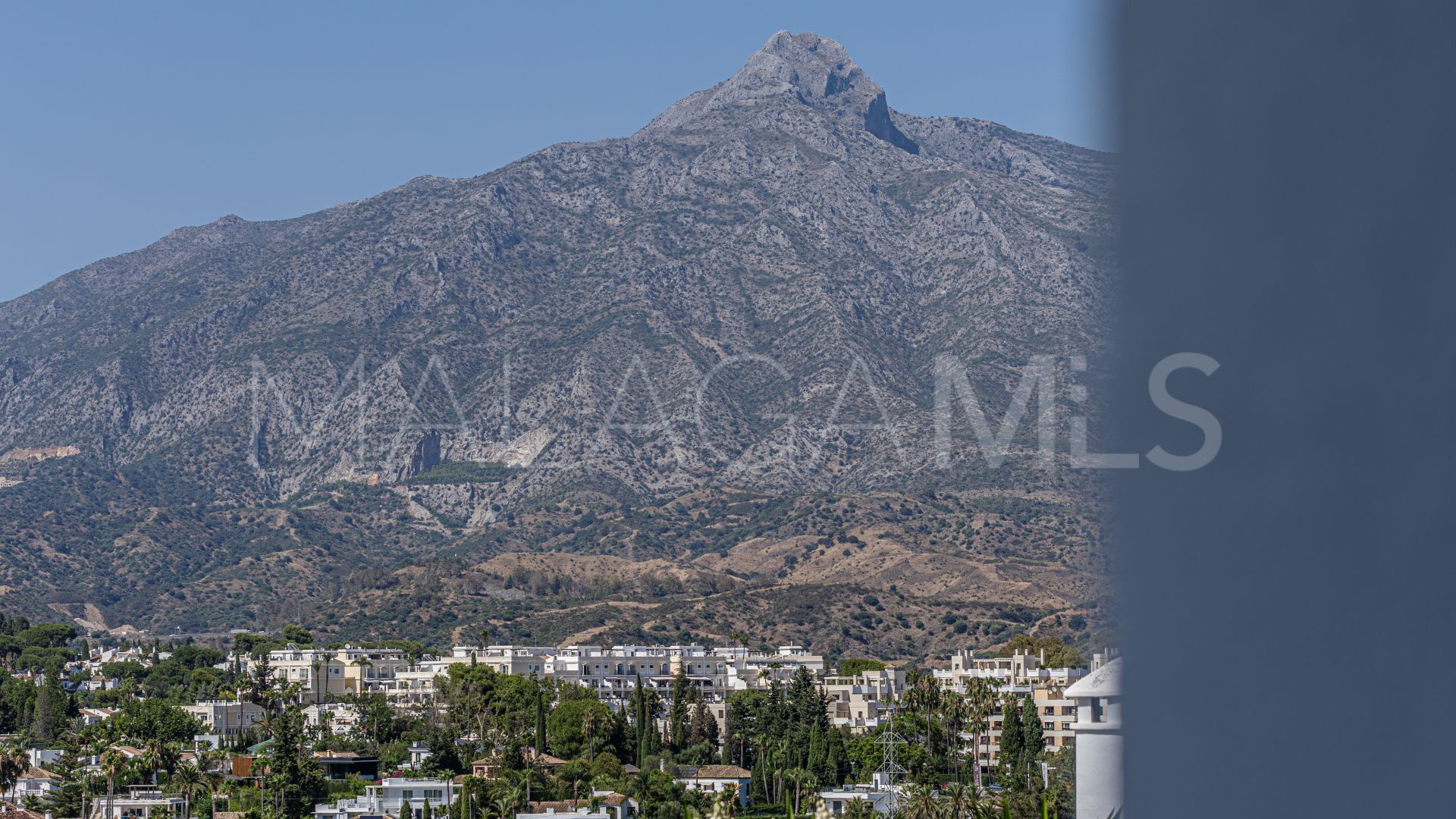 Buy Nueva Andalucia apartment