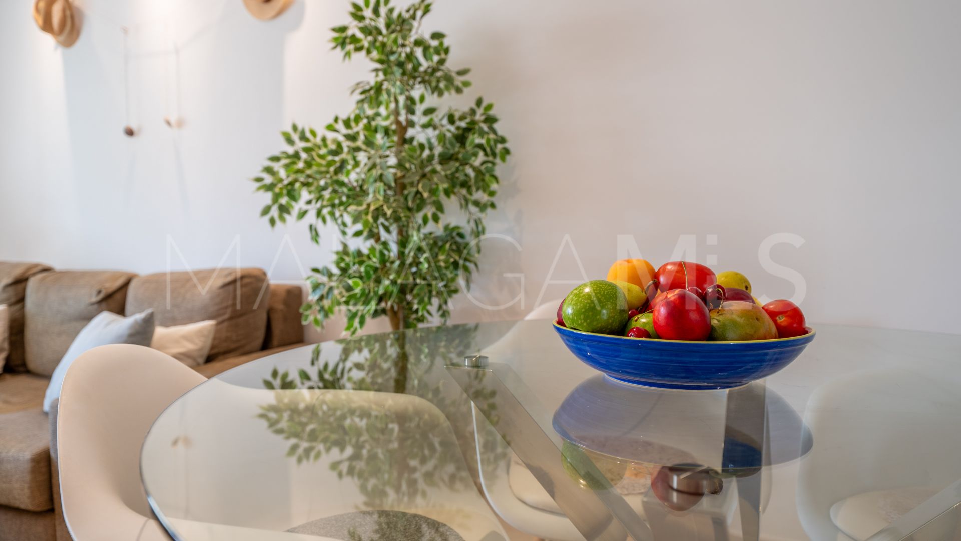 3 bedrooms San Pedro de Alcantara penthouse for sale