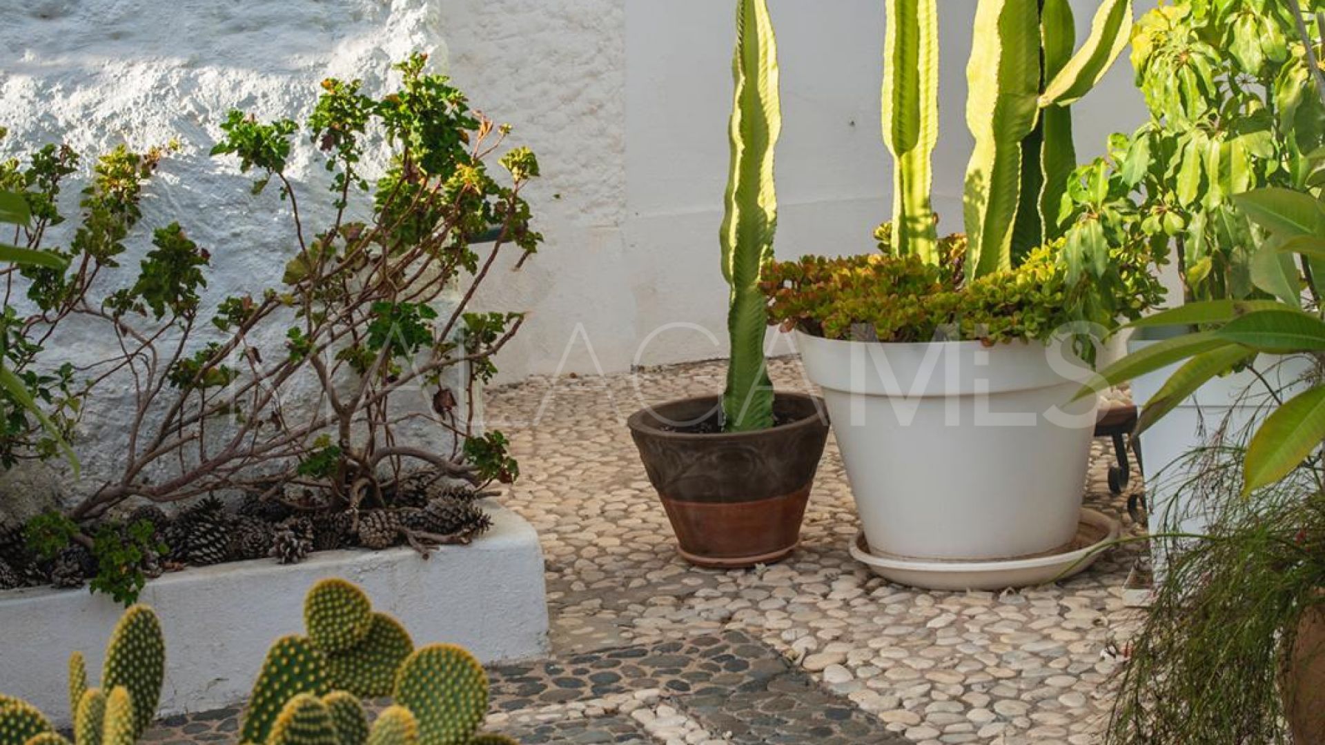 Haus for sale in Las Chapas