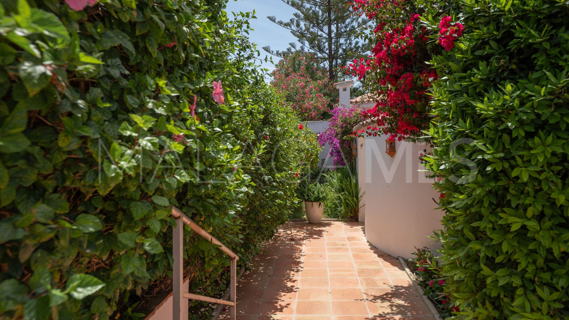 Villa for sale in San Pedro Playa