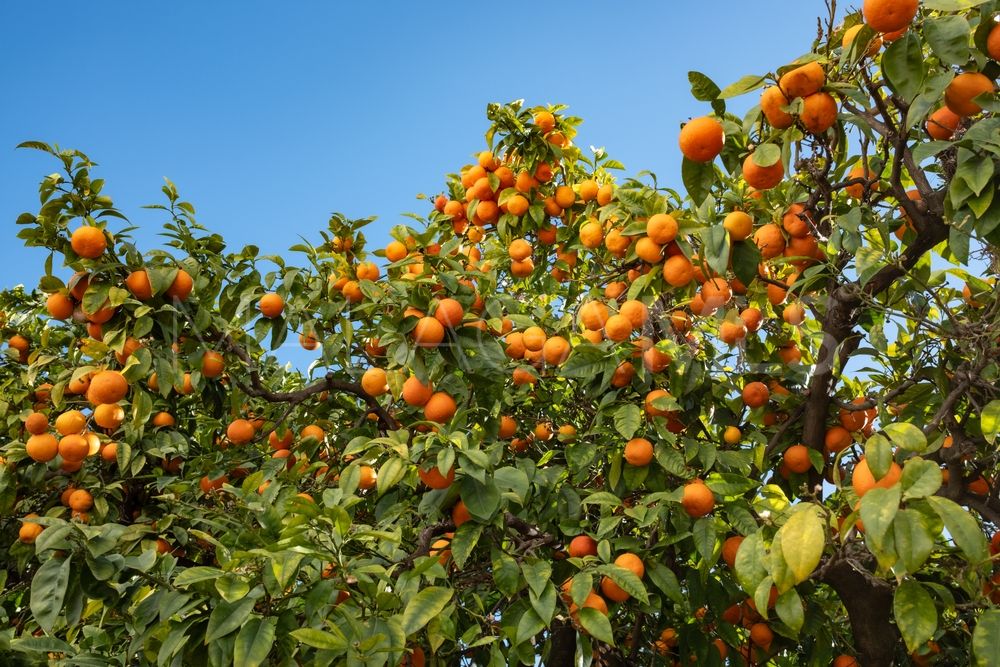 Hotel for sale in Casco antiguo