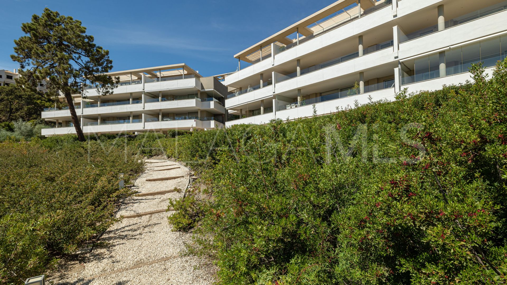 Buy La Reserva de Alcuzcuz 3 bedrooms apartment