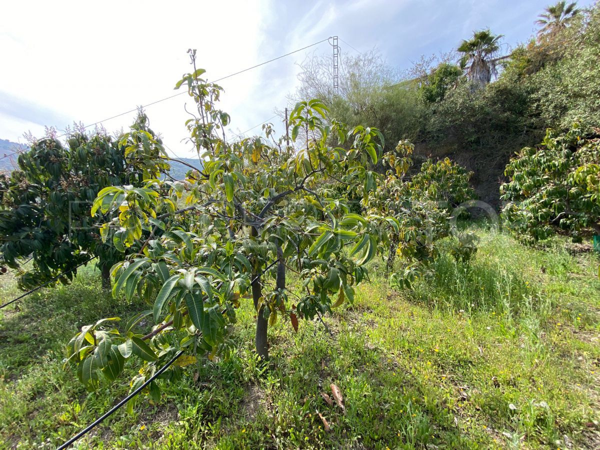 Adosado en venta en Almuñecar de 3 dormitorios