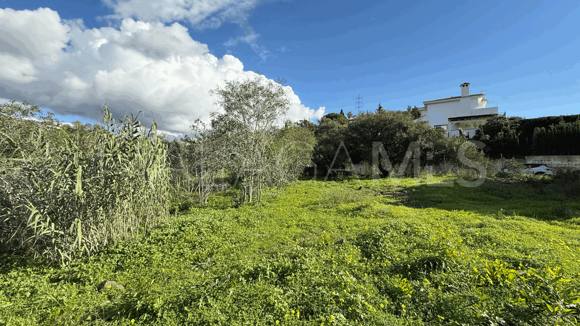 Grundstück for sale in Elviria