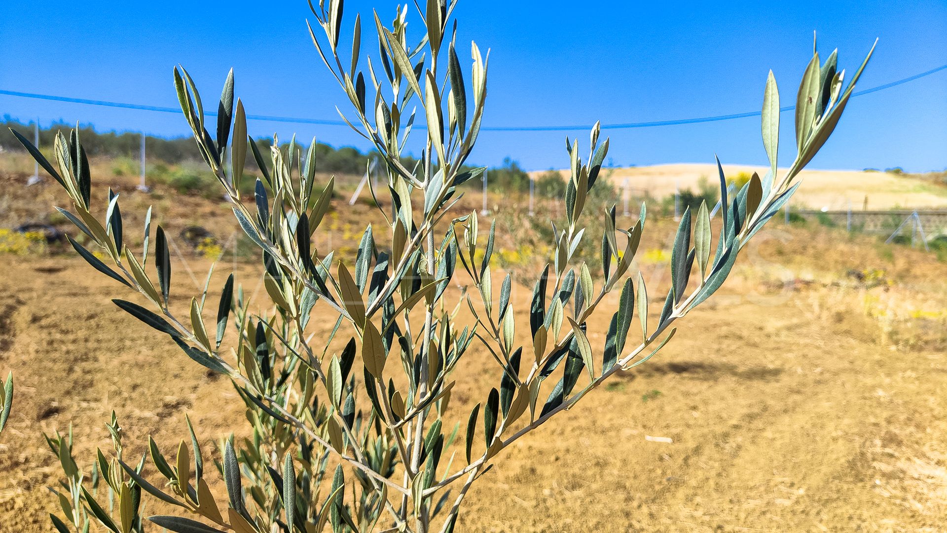 Terrain for sale in Coin Centro