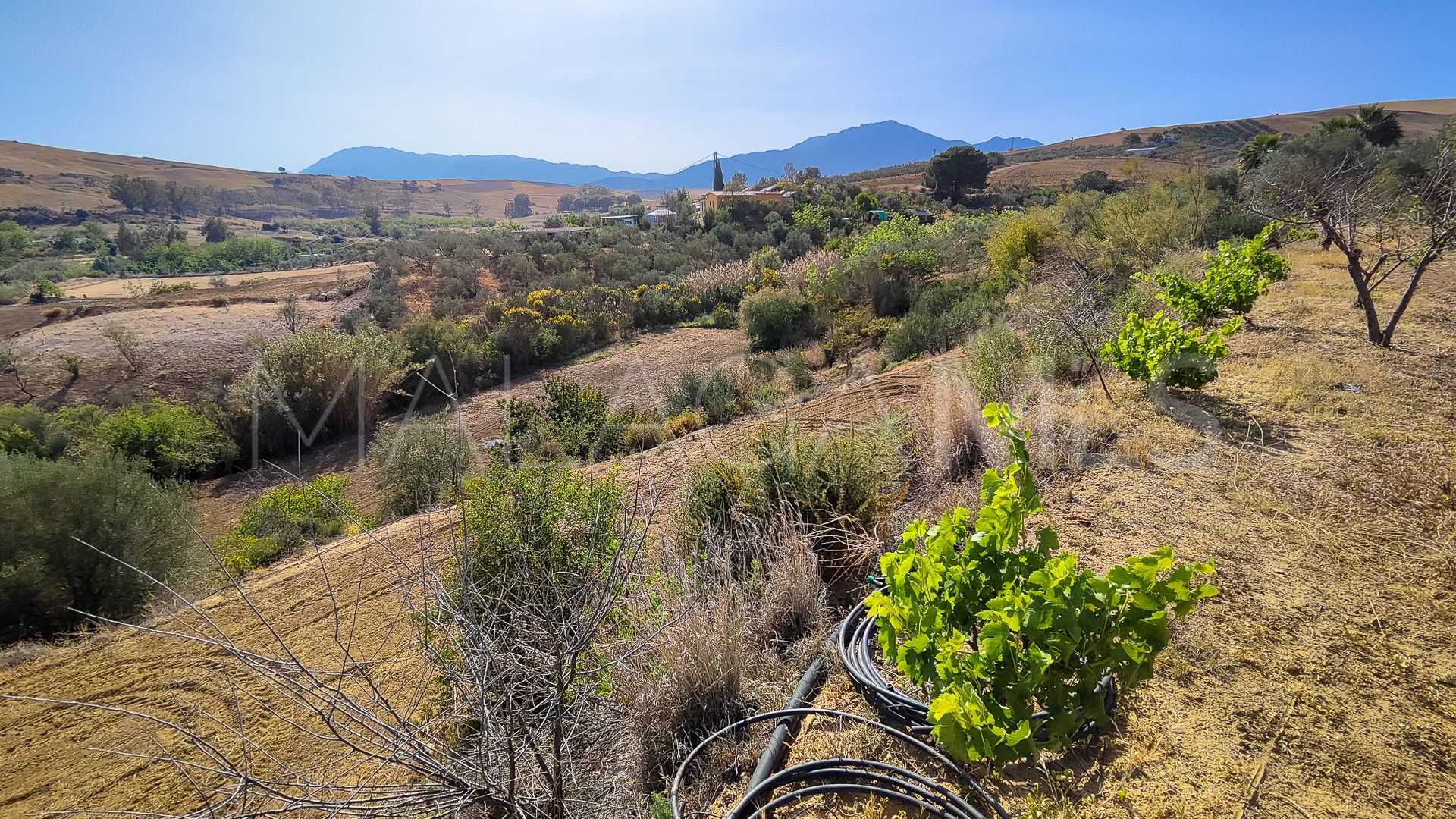 Terrain for sale in Coin Centro