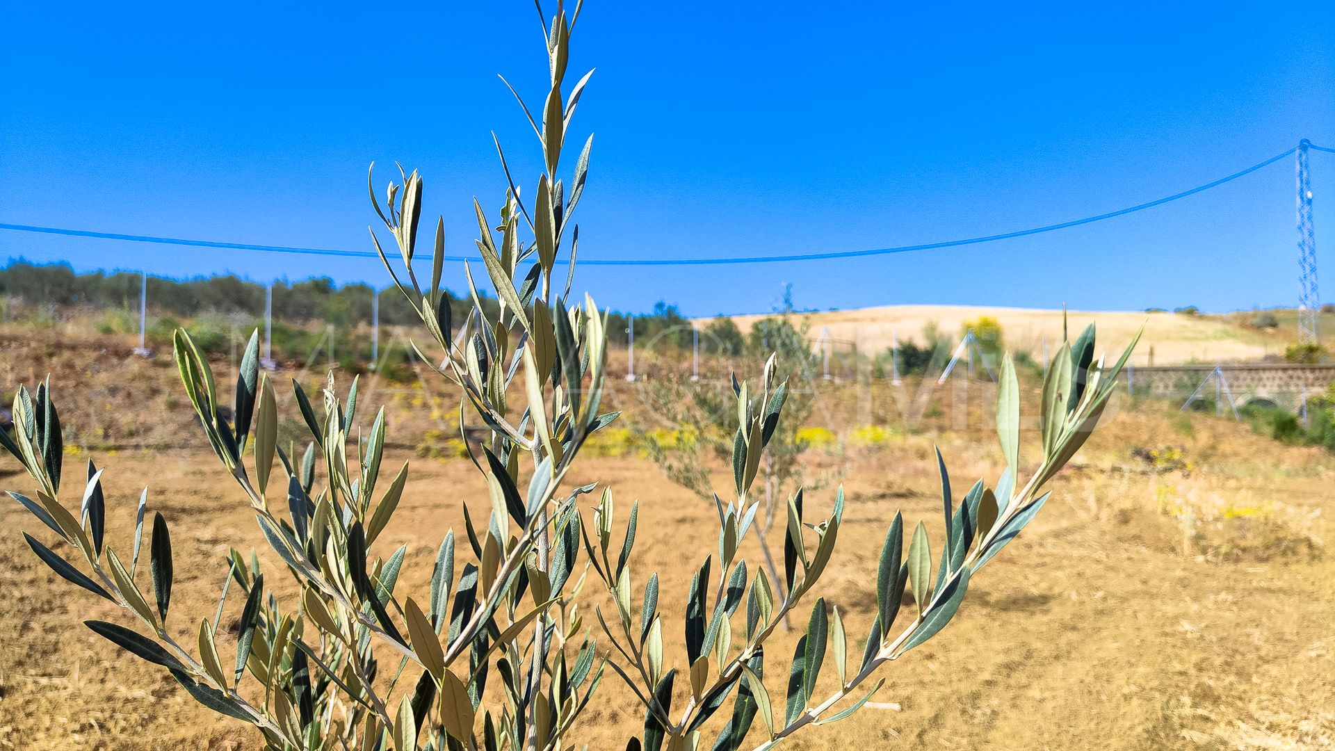 Terrain for sale in Coin Centro