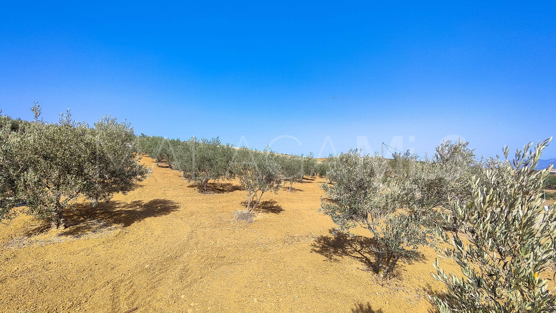 Terrain for sale in Coin Centro
