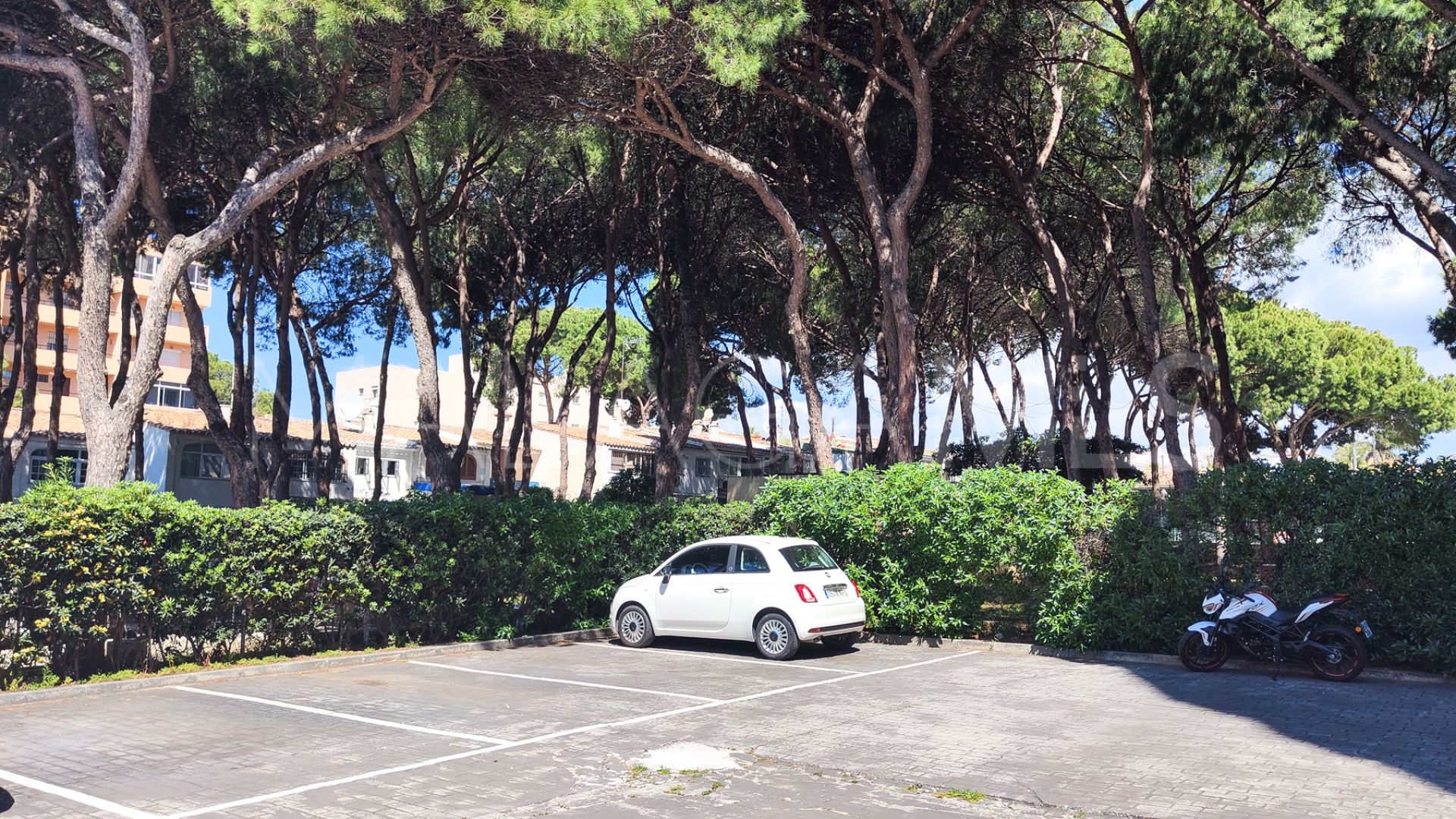 Studio for sale in Calahonda Playa