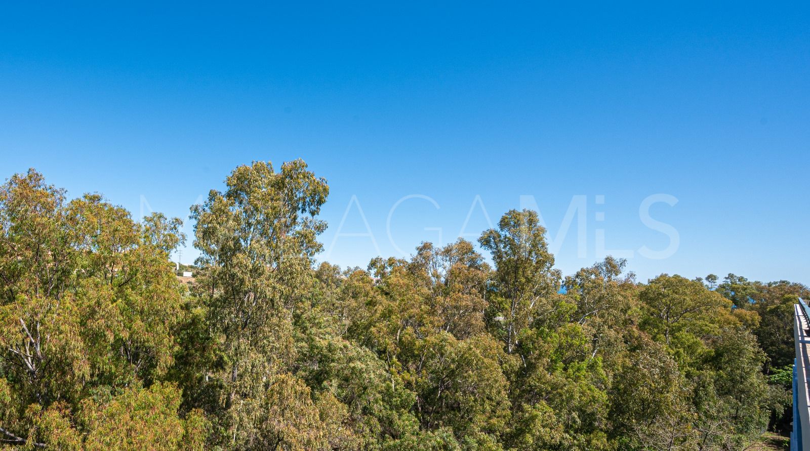 For sale penthouse with 2 bedrooms in Calahonda