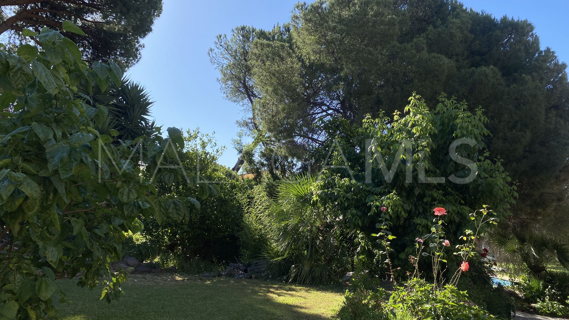Appartement for sale in Estepona