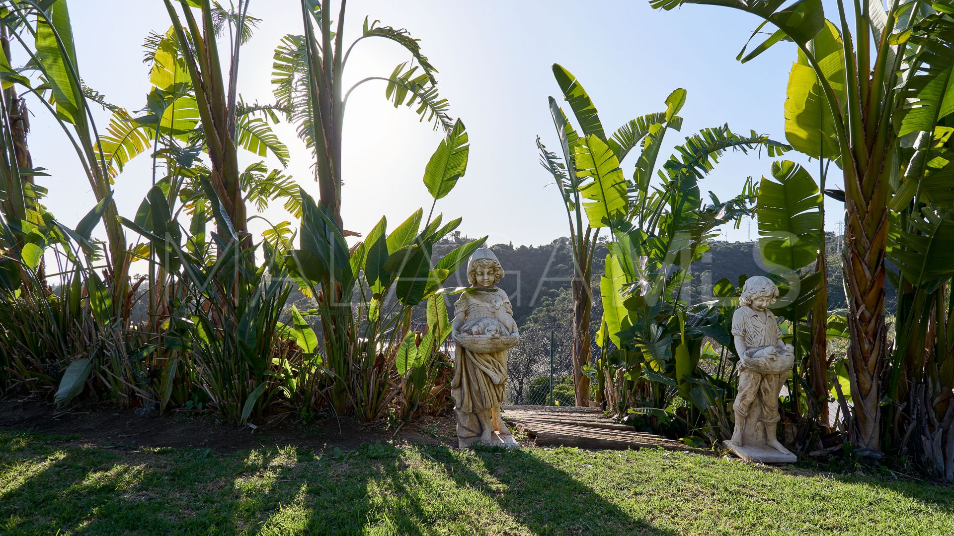 Buy El Padron villa with 4 bedrooms