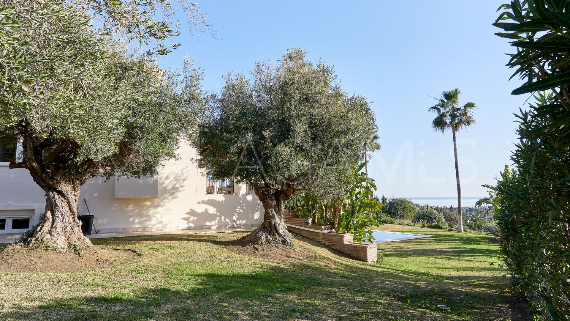 Buy El Padron villa with 4 bedrooms