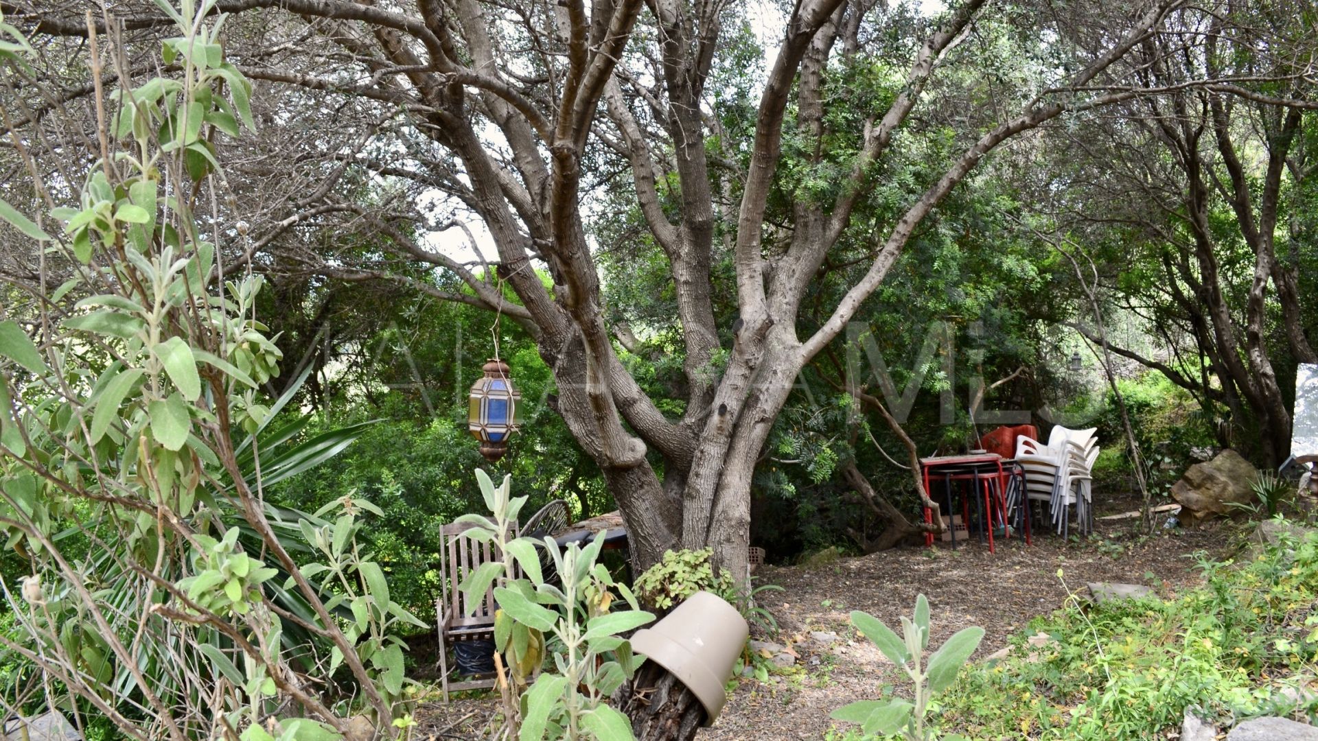 Tomt for sale in Don Pedro