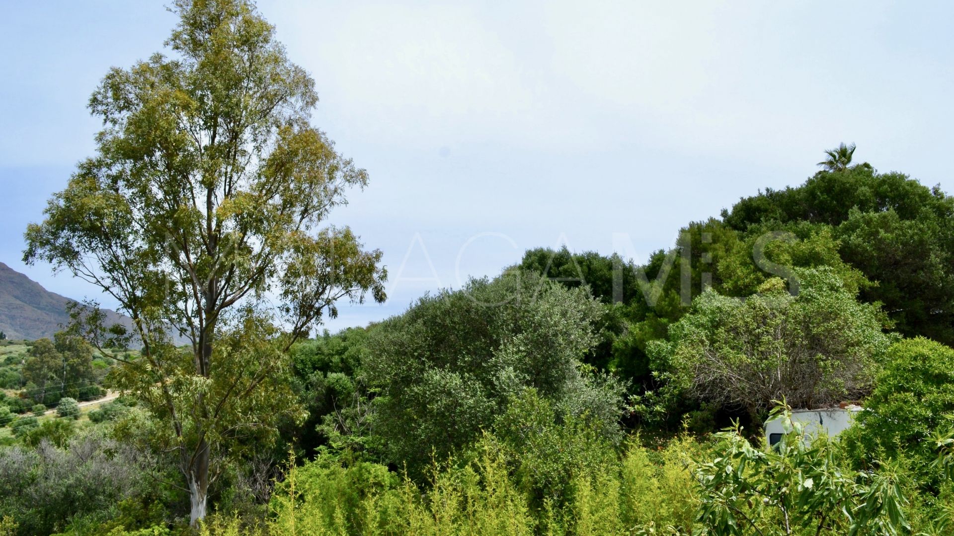 Tomt for sale in Don Pedro