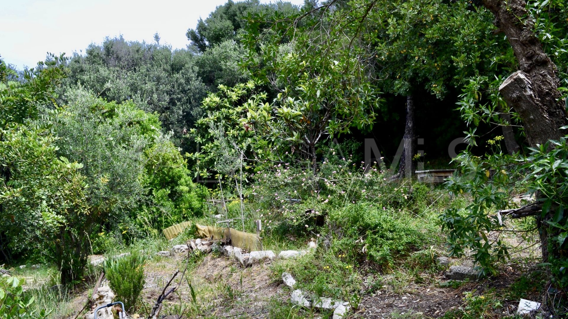 Tomt for sale in Don Pedro