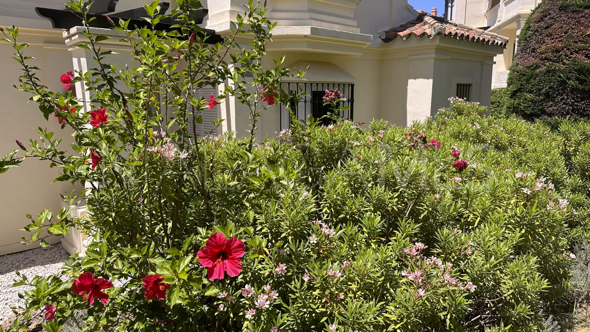 Majestic, apartamento for sale