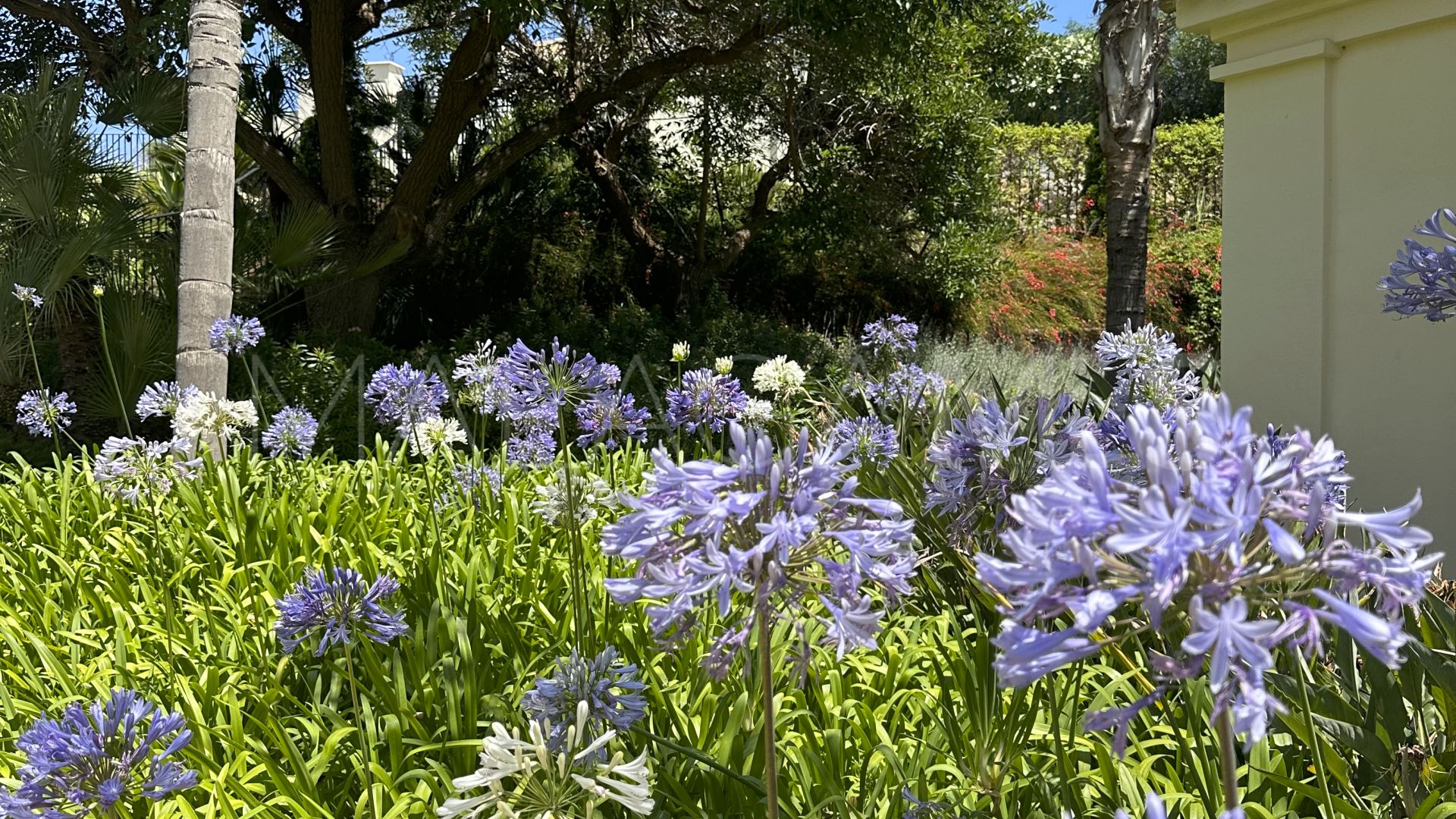 Majestic, apartamento for sale