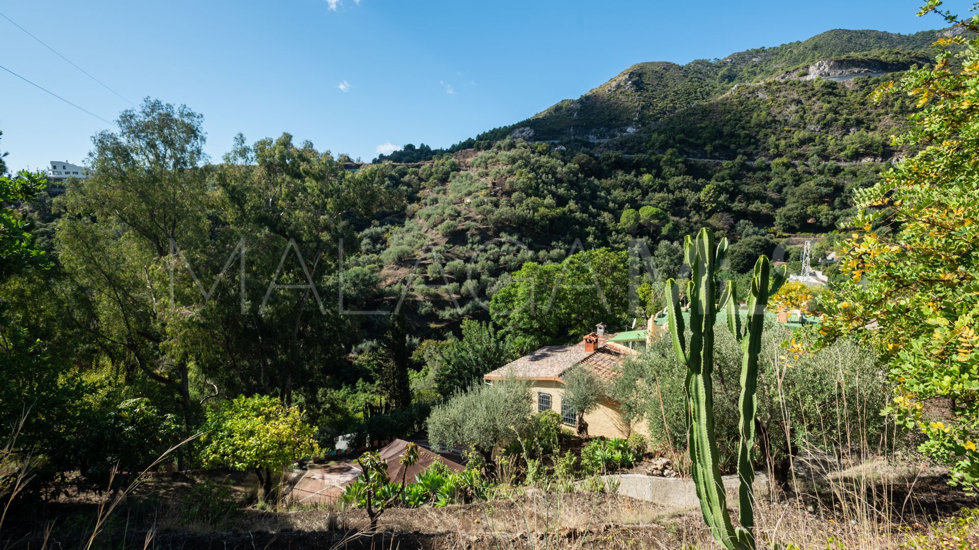 Finca for sale in Ojen