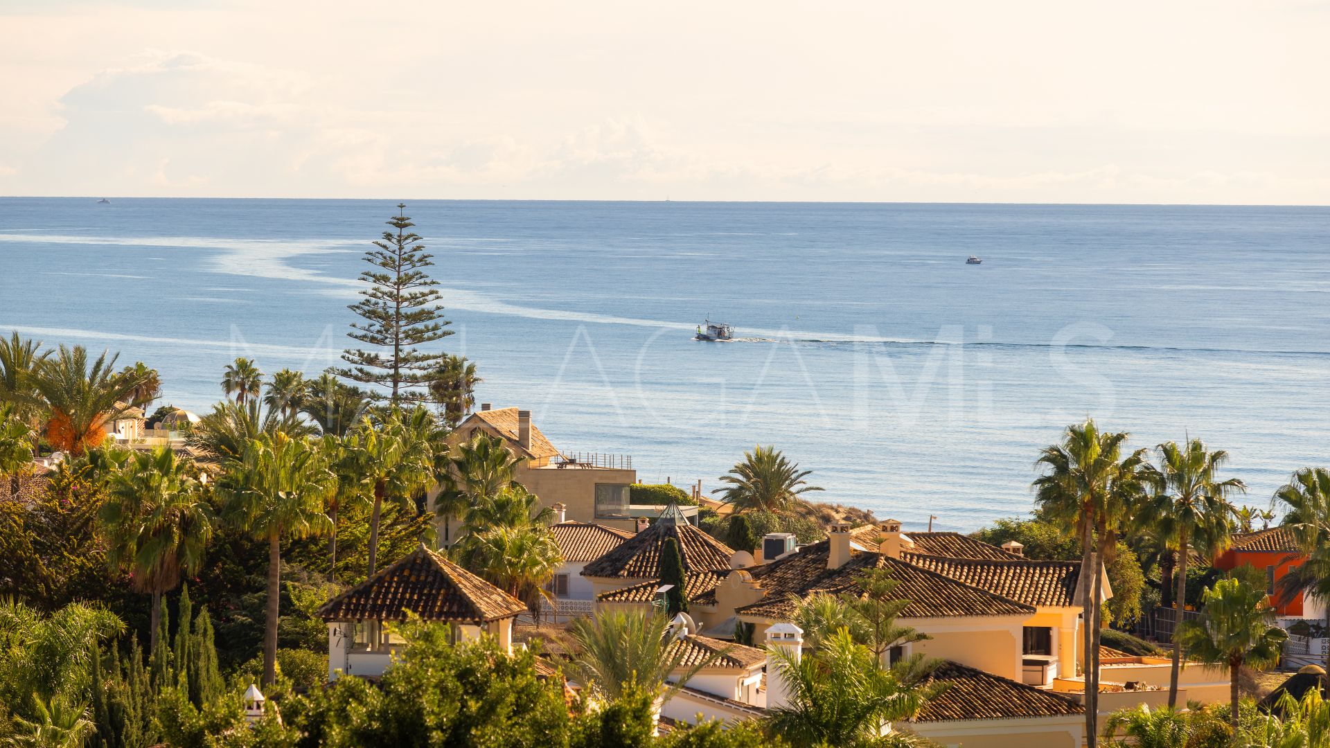 Studio for sale in Las Chapas