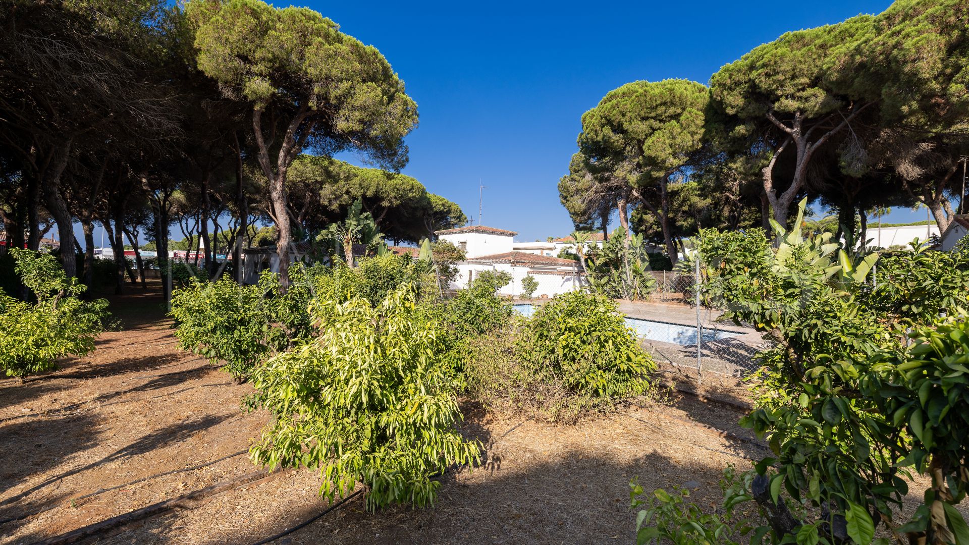 Villa for sale in Pinomar