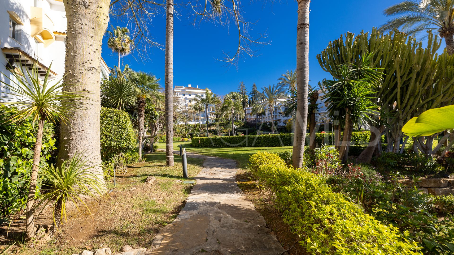 4 bedrooms duplex penthouse for sale in Hacienda Nagüeles I