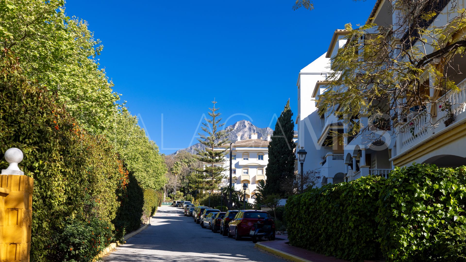 4 bedrooms duplex penthouse for sale in Hacienda Nagüeles I