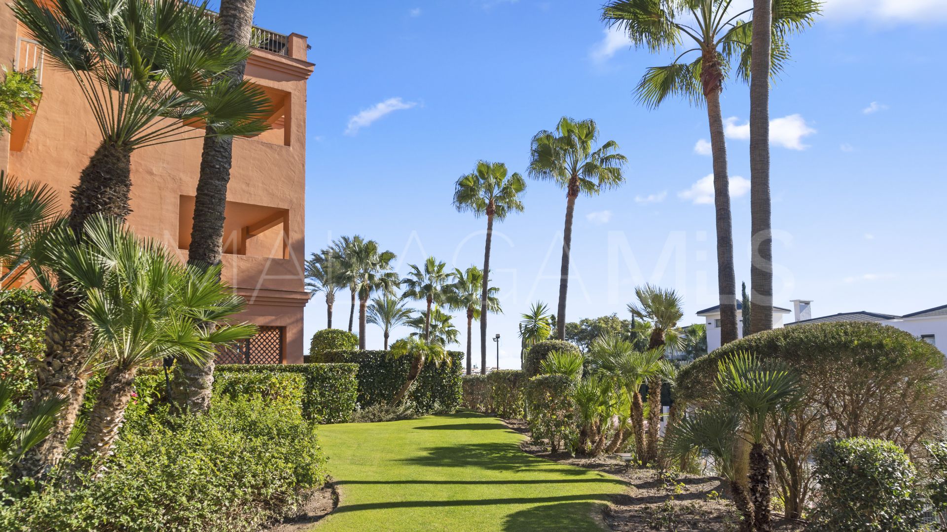For sale penthouse in Los Flamingos