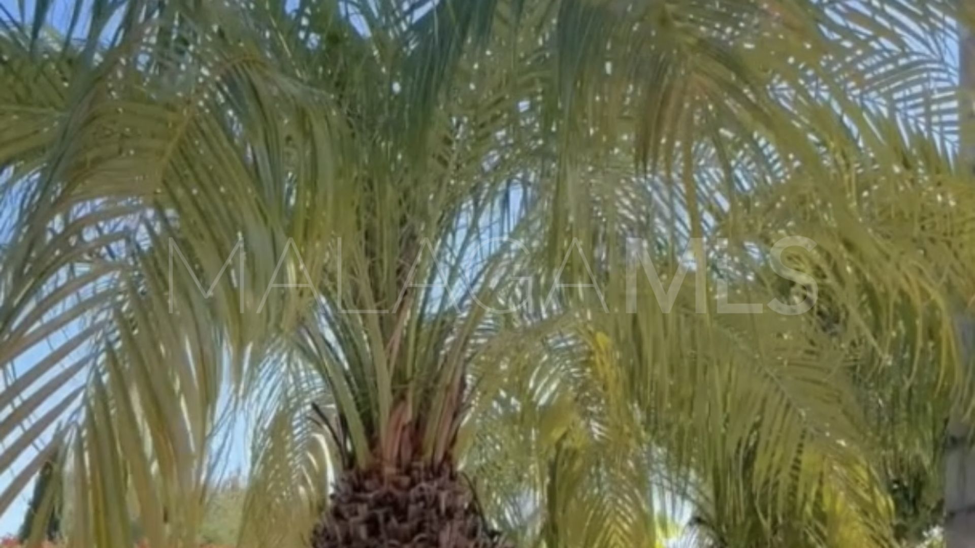 Lägenhet for sale in Royal Flamingos