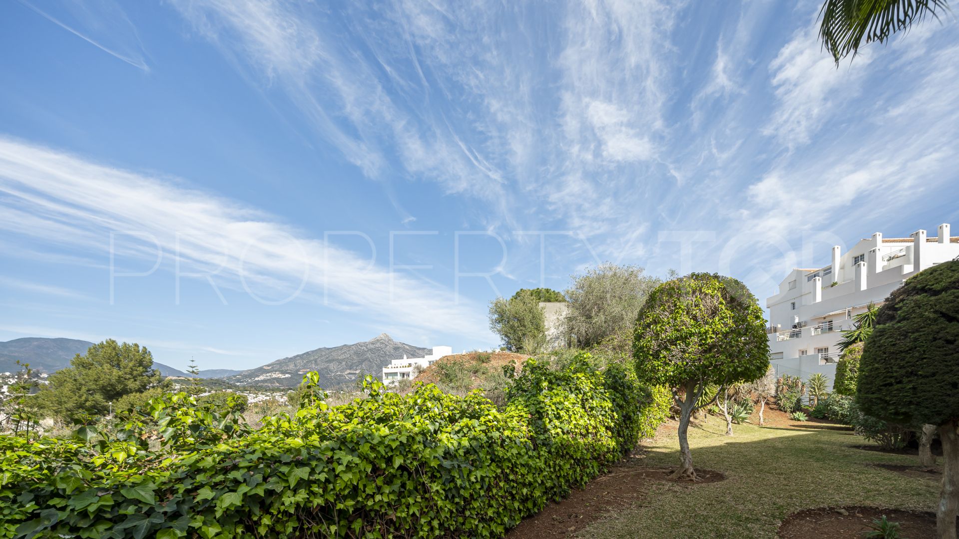 For sale ground floor apartment in Nueva Andalucia with 3 bedrooms