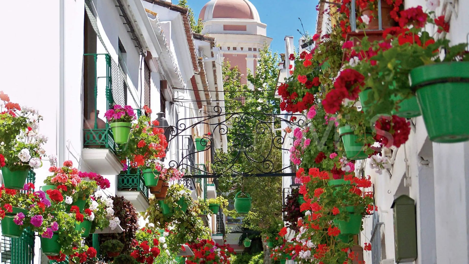 Buy parcela in Estepona