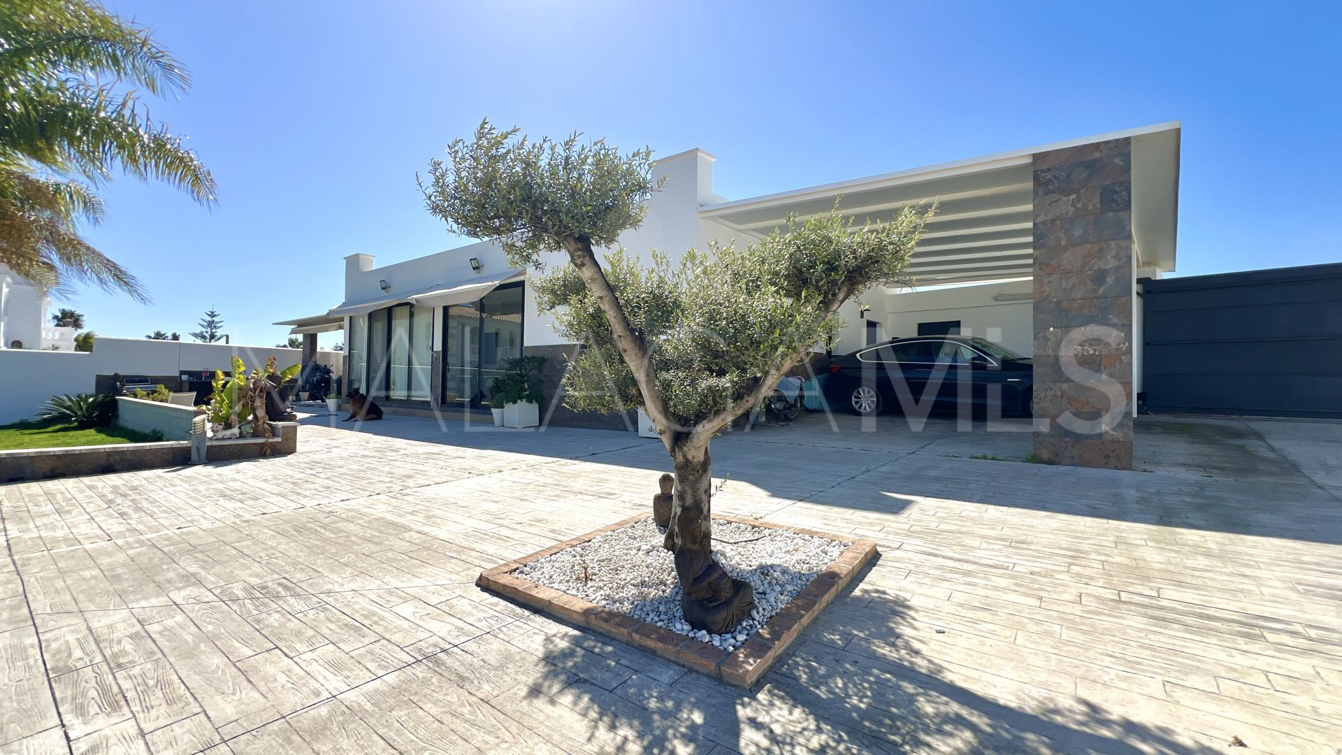 Buy Estepona 3 bedrooms finca