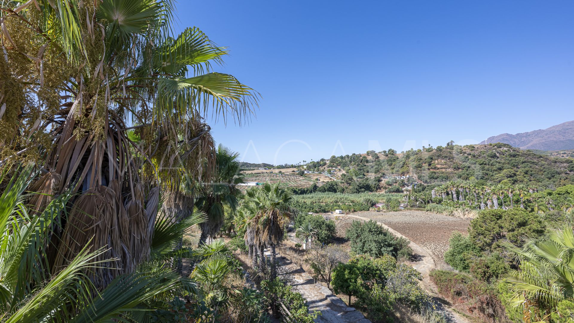 Finca for sale in Estepona