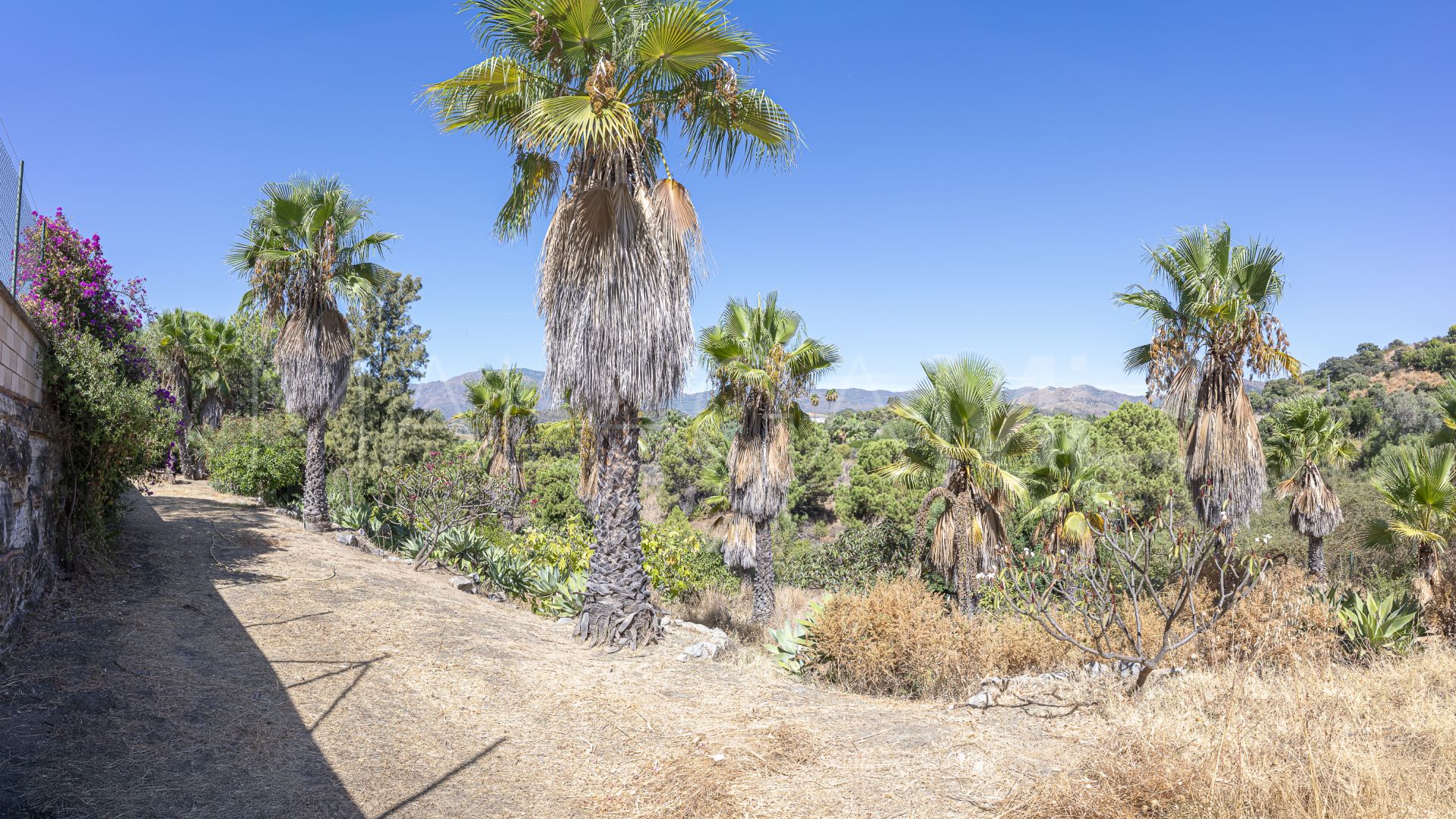 Finca for sale in Estepona