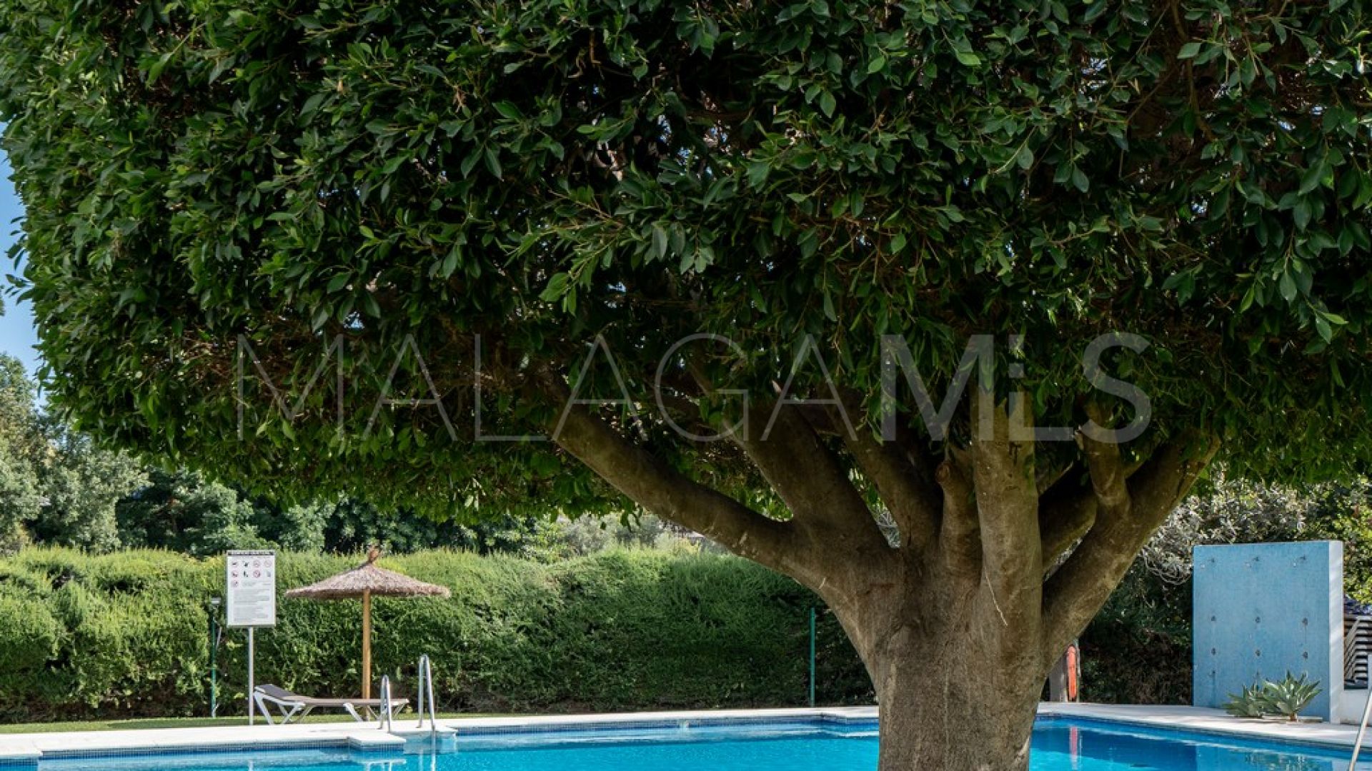 Guadalmina Alta, apartamento with 2 bedrooms for sale