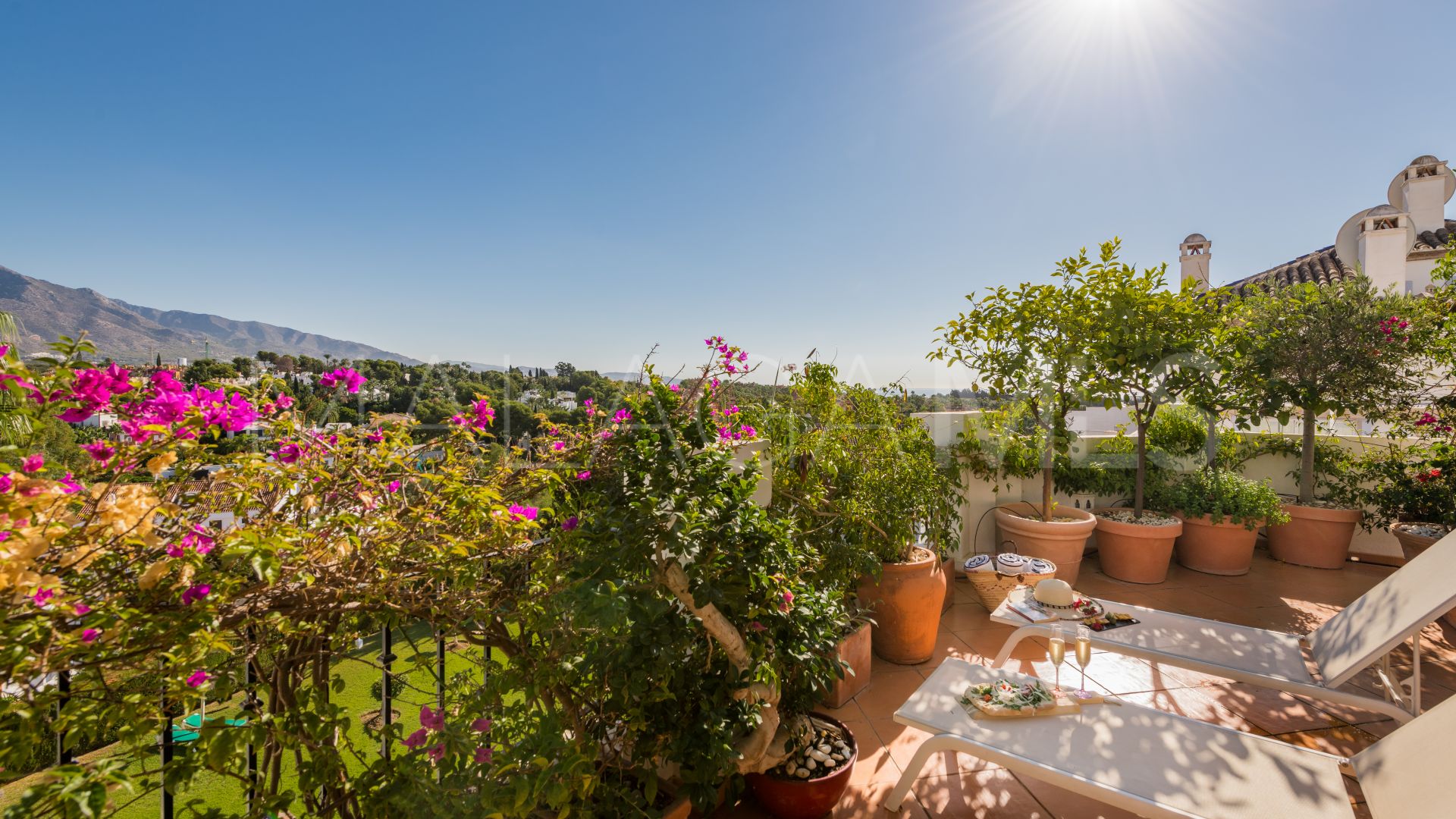 For sale penthouse with 3 bedrooms in Nueva Andalucia