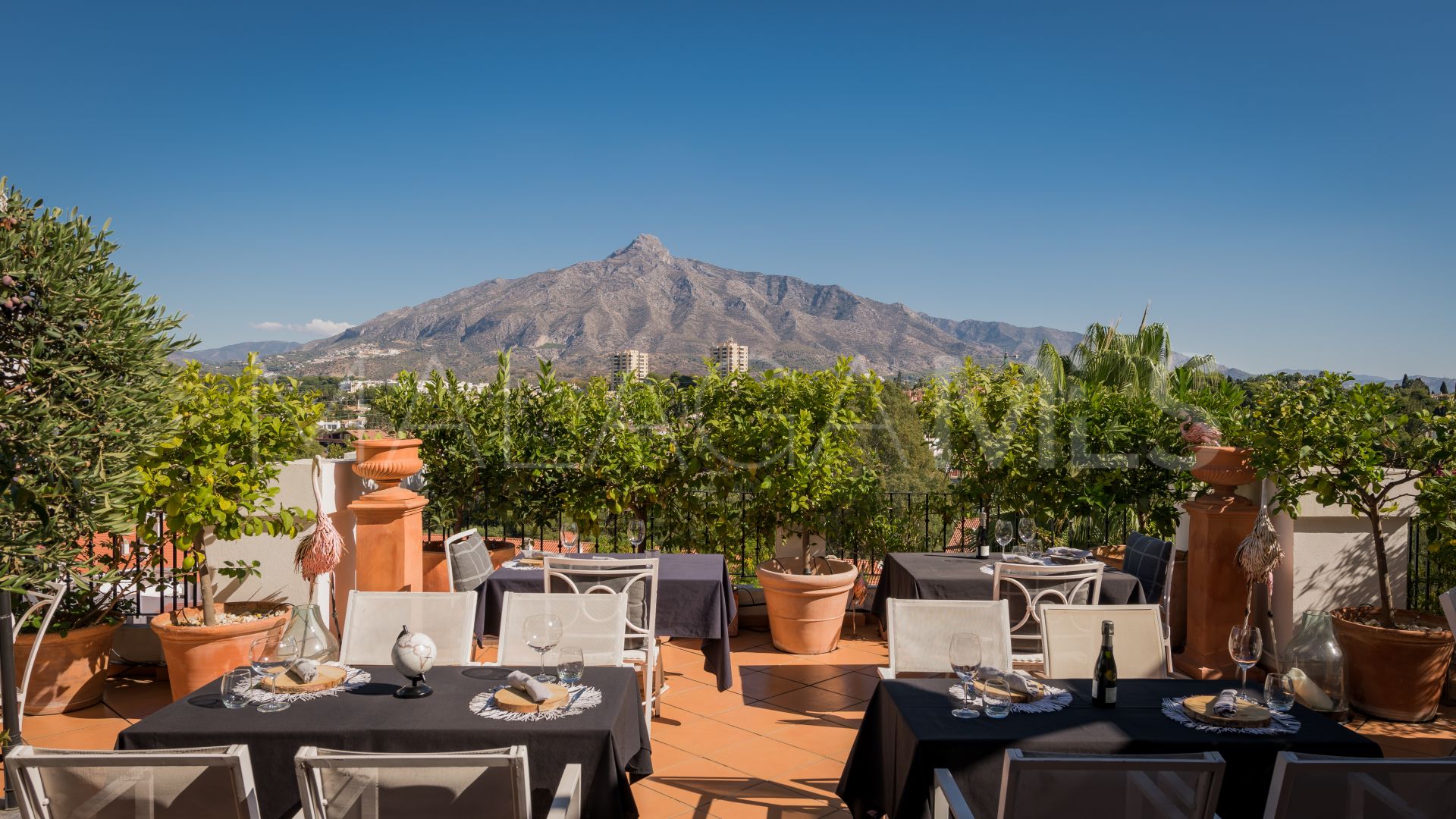 For sale penthouse with 3 bedrooms in Nueva Andalucia