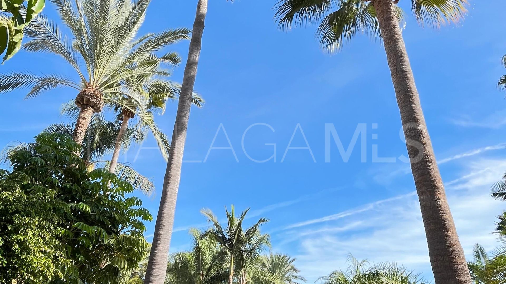 Appartement for sale in Rio Real Golf