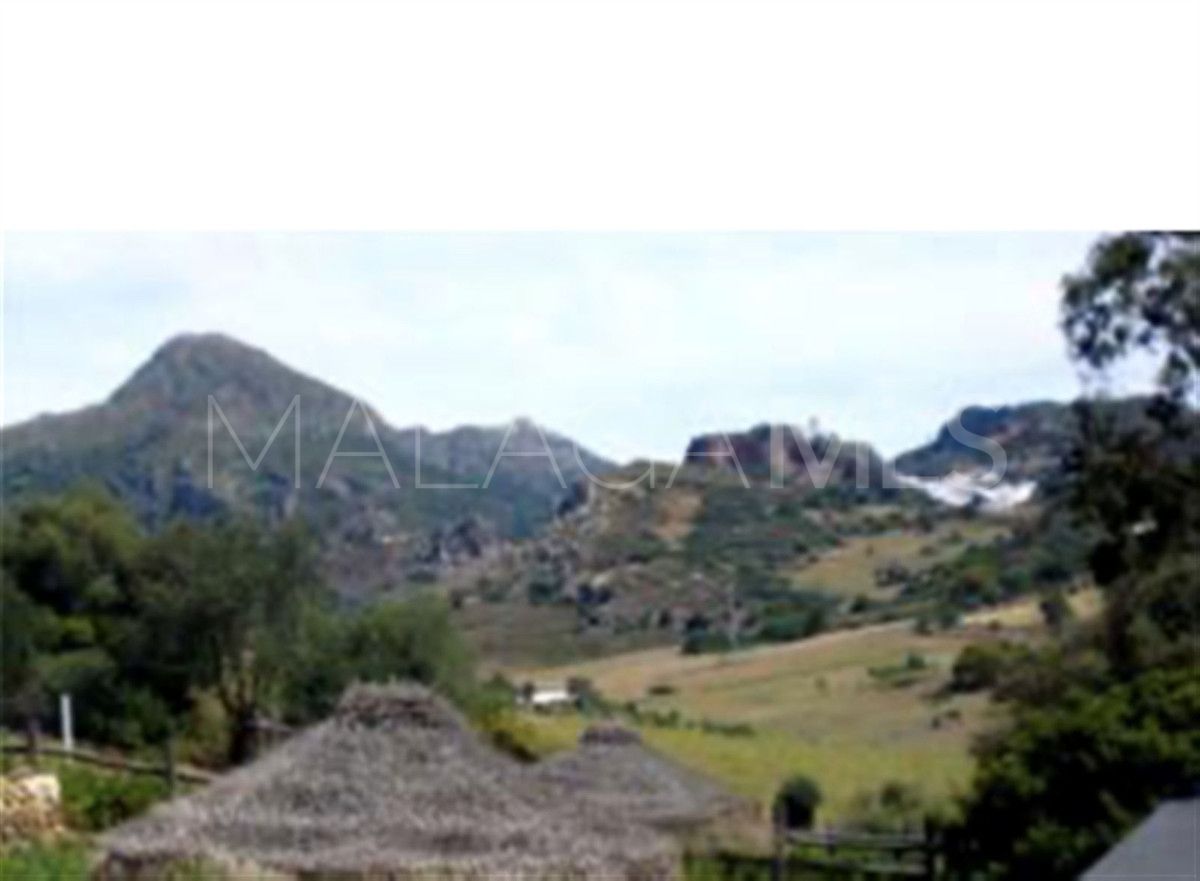 Casares 6 bedrooms cortijo for sale