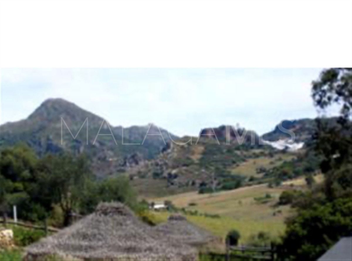 Casares 6 bedrooms cortijo for sale