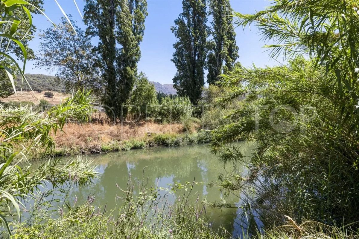 Comprar villa en Cortes de la Frontera con 9 dormitorios