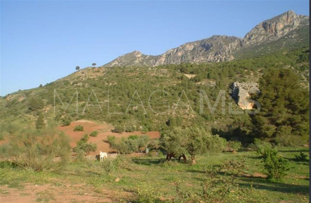 Buy villa de 3 bedrooms in Ardales