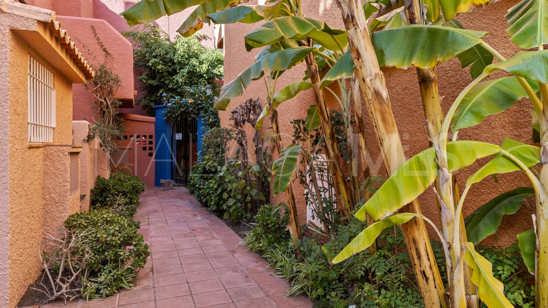 3 bedrooms Nueva Andalucia town house for sale