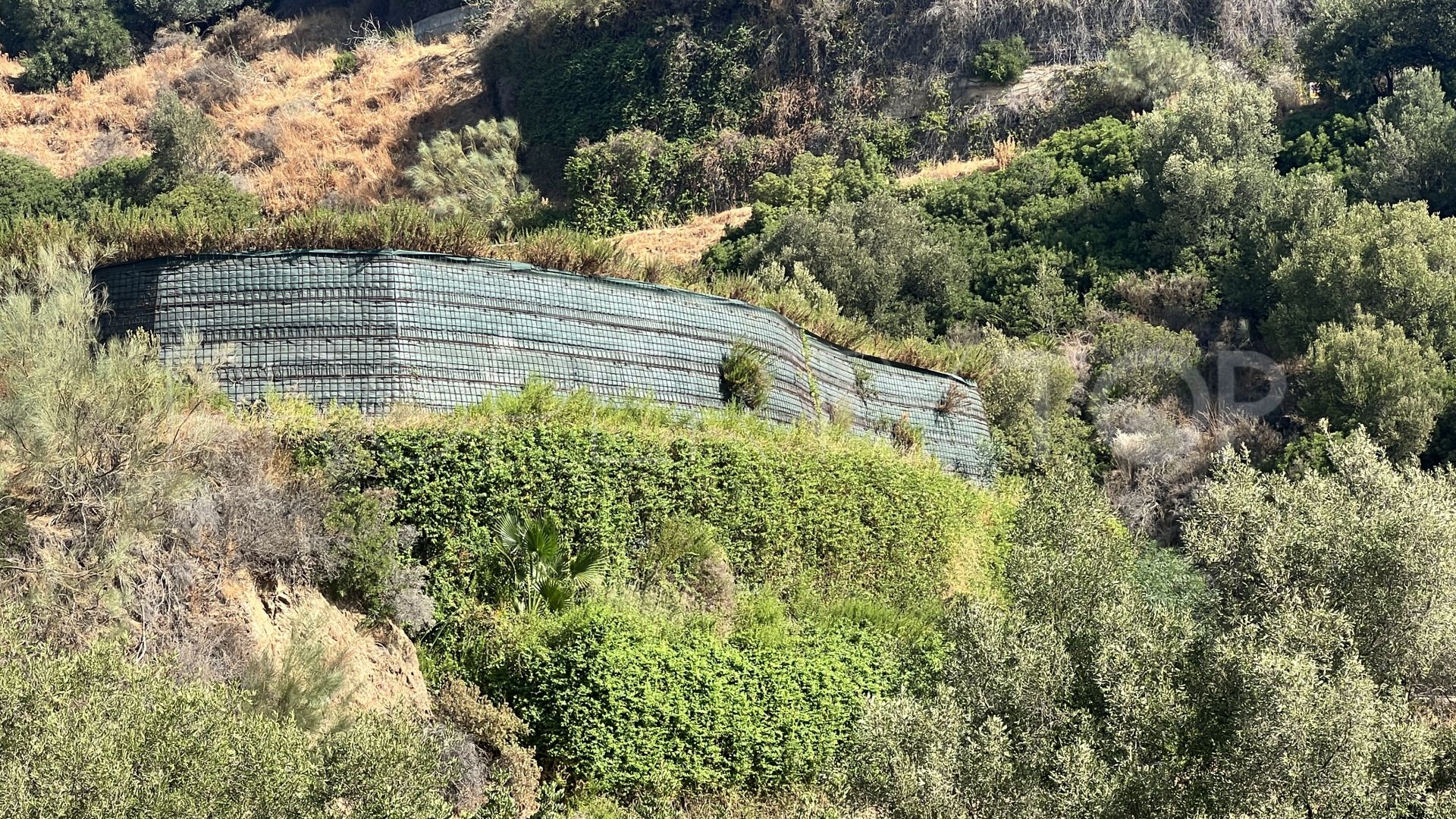 Monte Mayor, parcela a la venta