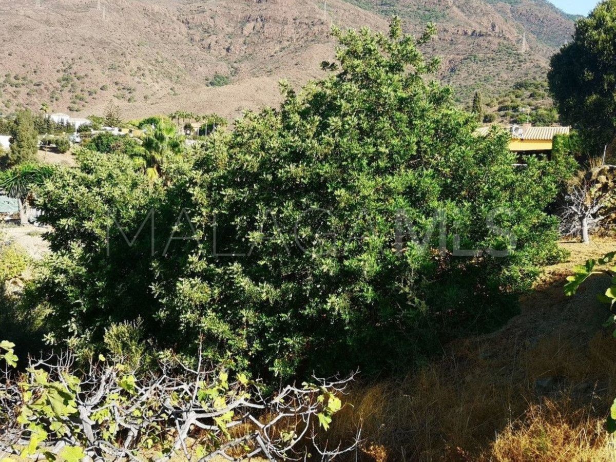 Finca for sale in Estepona