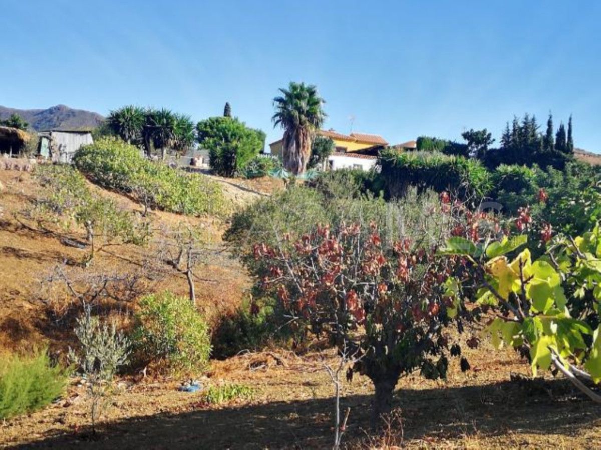 Finca for sale in Estepona